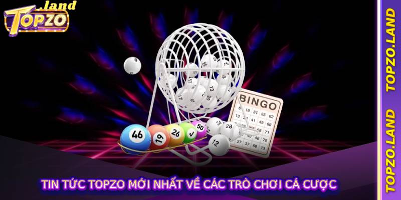 Chi tiết về sảnh cược xổ số Topzo
